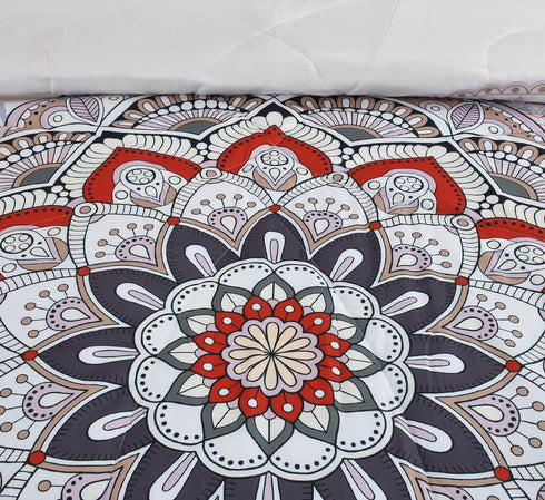 Fabia Comforter Set with King Size Bed Sheet & Pillow Covers by Florida